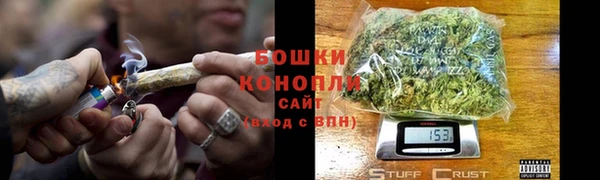 прущие грибы Алексеевка