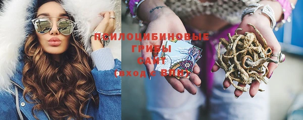 прущие грибы Алексеевка
