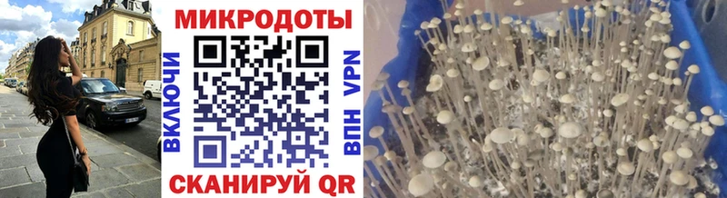 Галлюциногенные грибы мицелий  Артём 