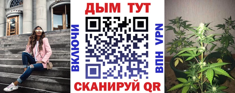 Бошки марихуана ГИДРОПОН  что такое наркотик  mega ТОР  Артём 